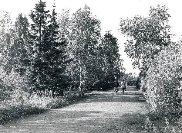 Kenttäkatu 1980