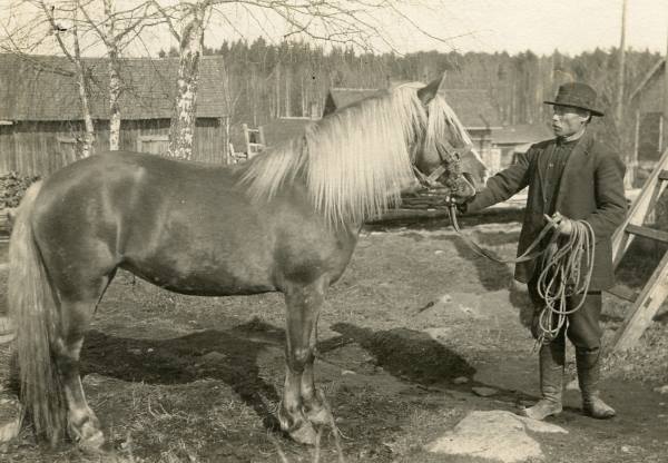 Hevosmies Kalle Hakala